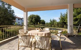 F & B Summer Collection - Paliouri